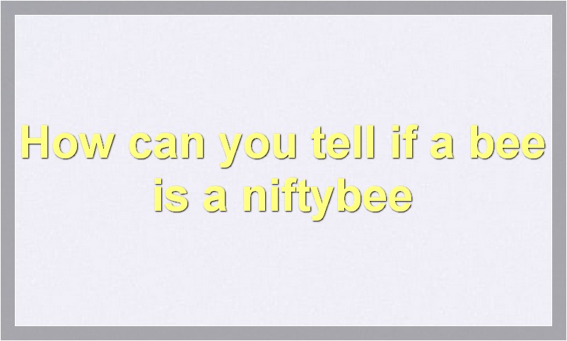 How can you tell if a bee is a niftybee