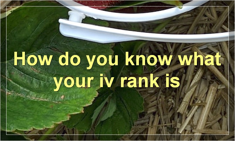How do you know what your iv rank is