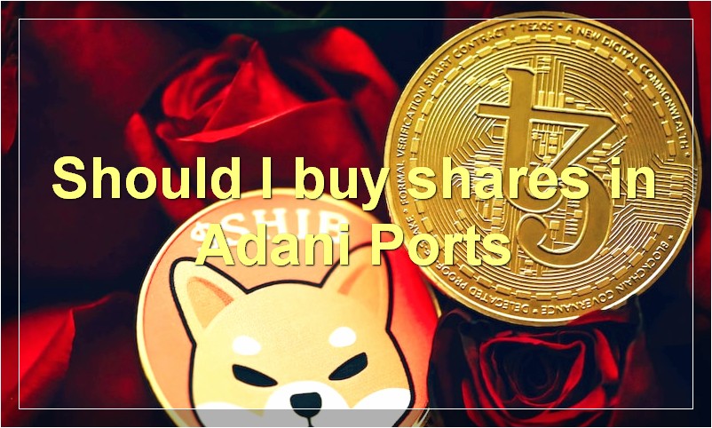 Should I buy shares in Adani Ports