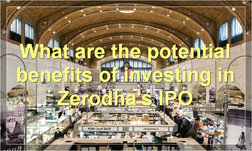 What are the potential benefits of investing in Zerodha's IPO