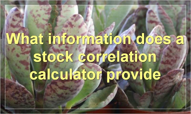 What information does a stock correlation calculator provide