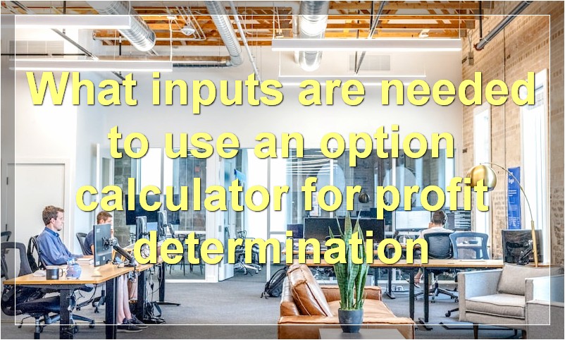 What inputs are needed to use an option calculator for profit determination