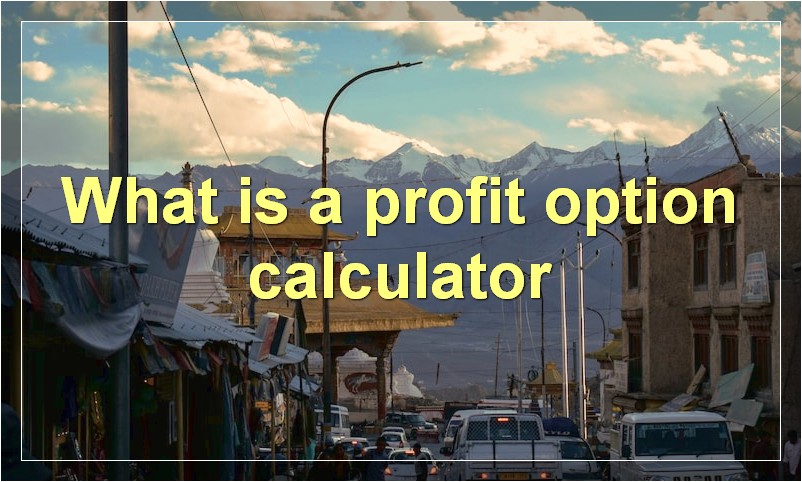 What is a profit option calculator