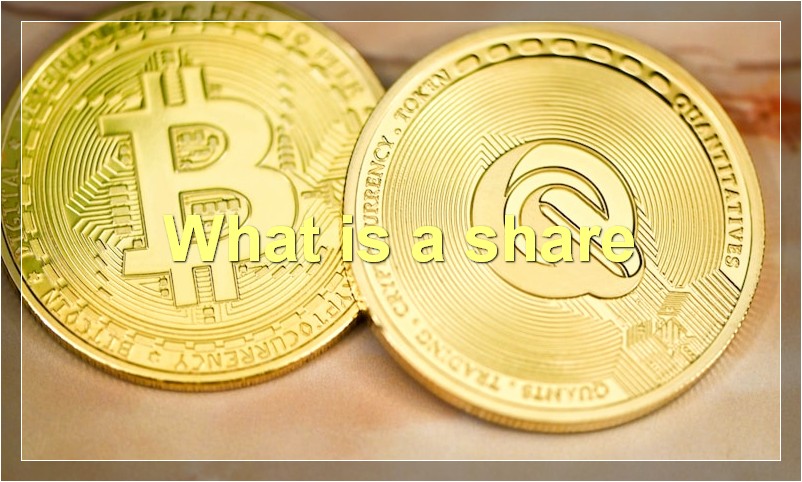 What is a share
