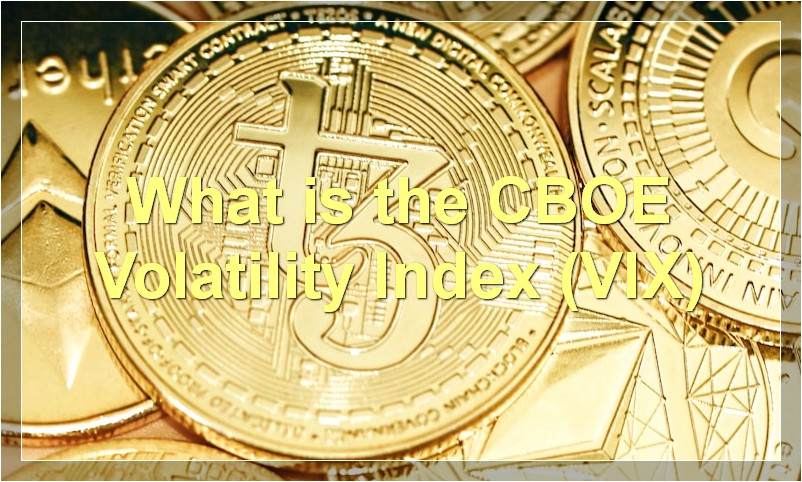 What is the CBOE Volatility Index (VIX)