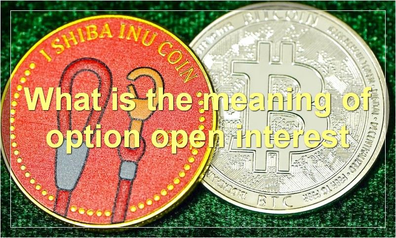 What is the meaning of option open interest
