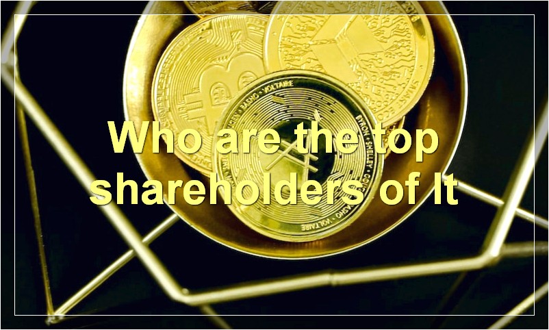 Who are the top shareholders of lt